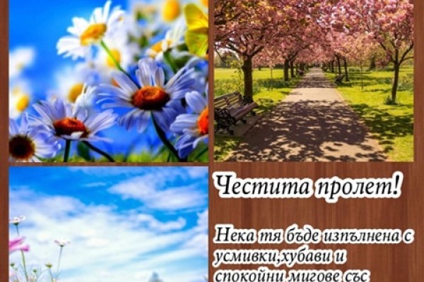 6б-колаж-пролетF2429C99-1CE3-2ADC-885A-7A96F9DBBFFE.jpg