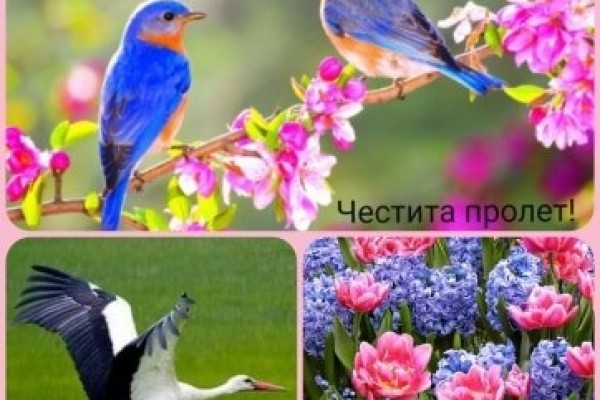 6б14A4A859-D4D9-31D6-BDF9-1BF9DC55E911.jpg