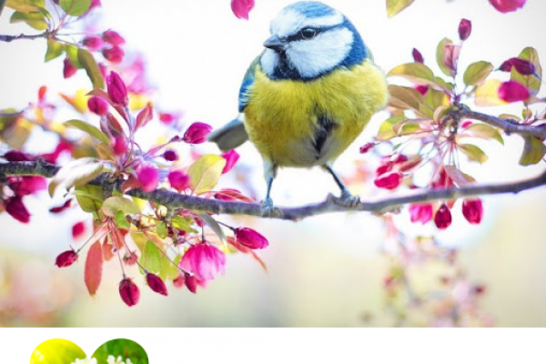 p2FB0478B4-4A71-A4F3-2196-B06BBE68C84D.png