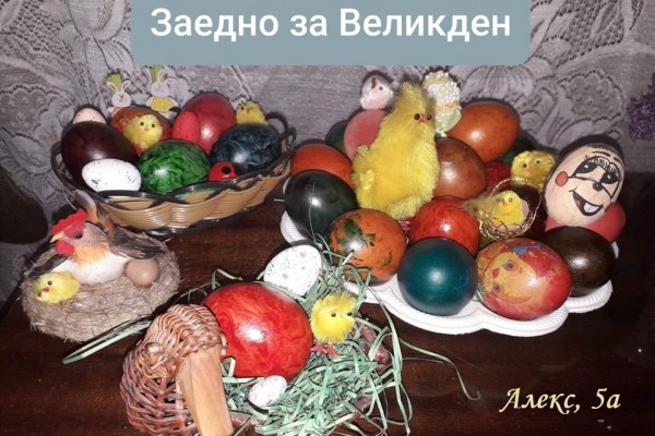 alex5a3A3C324B-9B25-72A9-0899-8B800C046694.jpg